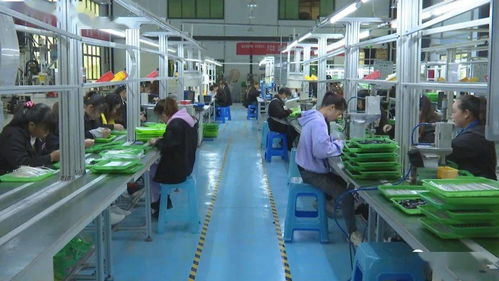 訂單式生產(chǎn)與電商運(yùn)營(yíng)雙輪驅(qū)動(dòng)，安龍電子產(chǎn)品產(chǎn)業(yè)前景廣闊